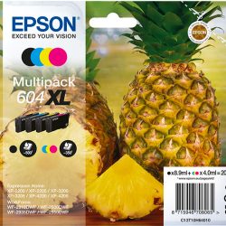 Epson 604XL Multipack